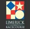 Limerick Race Course 1